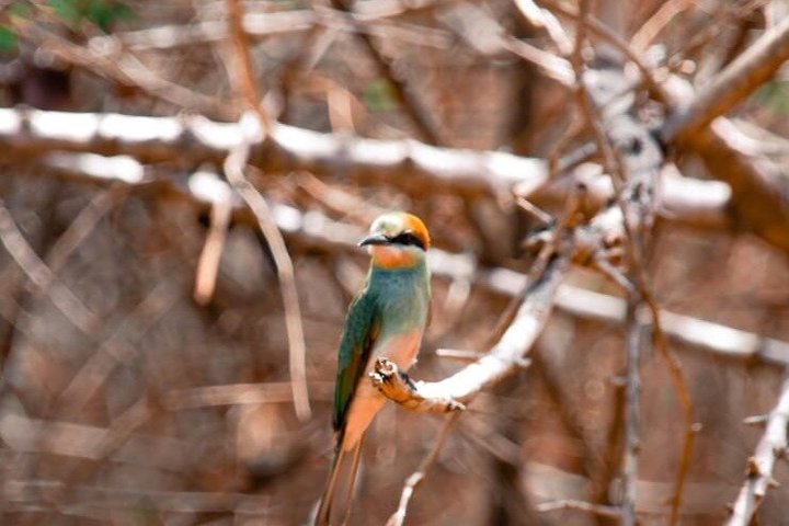 Yala National Park Private Jeep Safari with Entrance Ticket