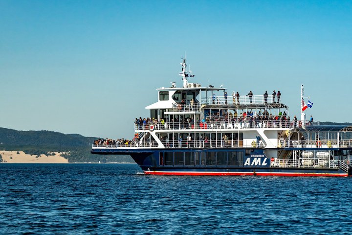Tadoussac/Charlevoix: Whale & Bear Wildlife Tour