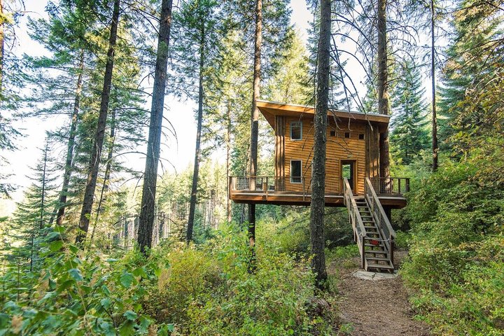 Lake Coeur d'Alene Zipline Tour
