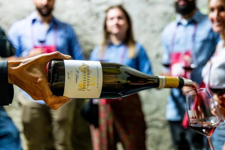 Wine tasting with visit to the winery in Valtellina in Chiuro