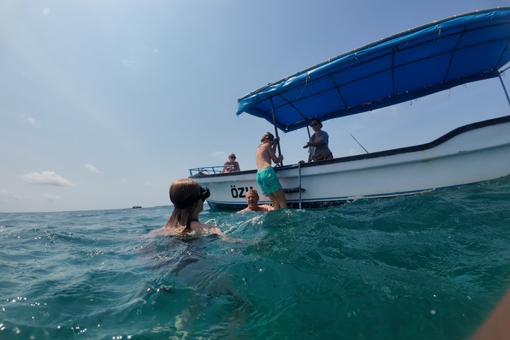 Kisite Mpunguti Marine Park Full Day Excursion