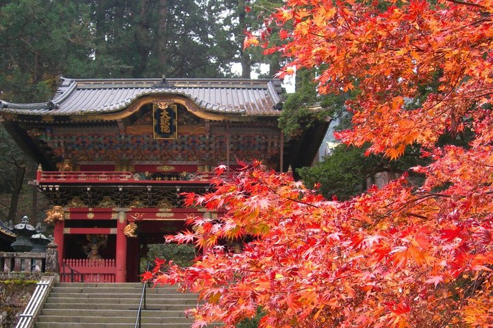 Nikko Toshogu, Edo Wonderland, and more | Licensed Guide &Driver