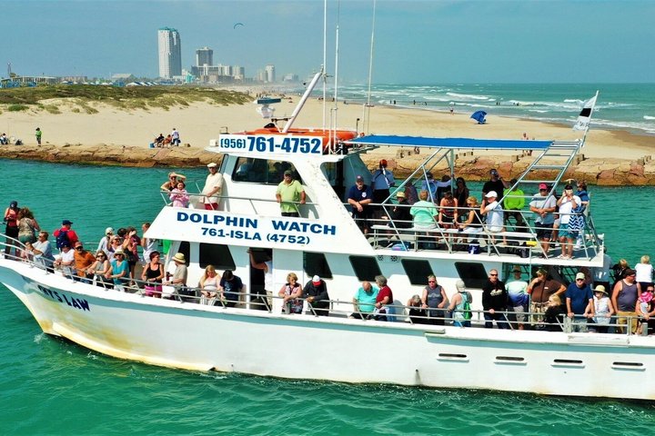 Early Bird Eco Tour and Dolphin Watch