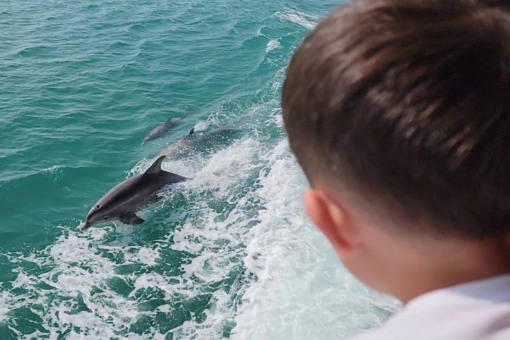 Early Bird Eco Tour and Dolphin Watch