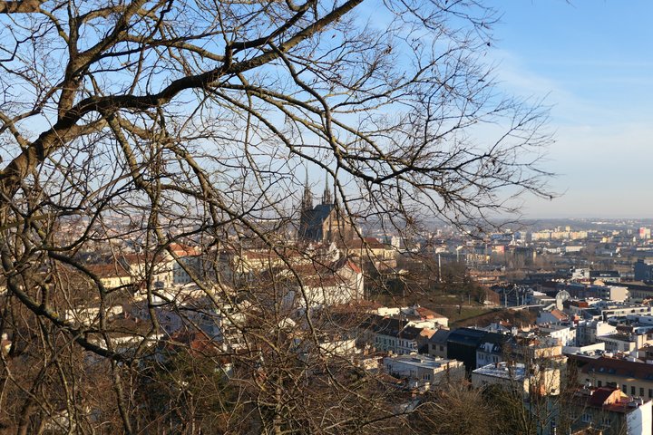 Brno City Tour History Culture and Local Experiences