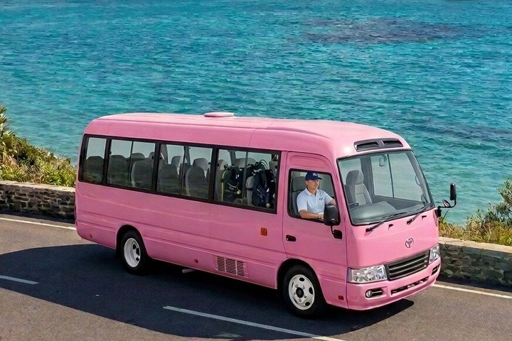 Bermuda Cruise Shore Excursion: Full Island Tour from Dockyard