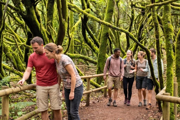 La Gomera Full Day Tour from Tenerife with ferry and lunch