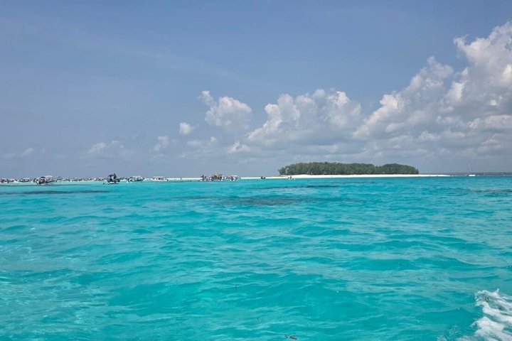 Zanzibar Mnemba Island Snorkeling and Dolphin Watching Adventure