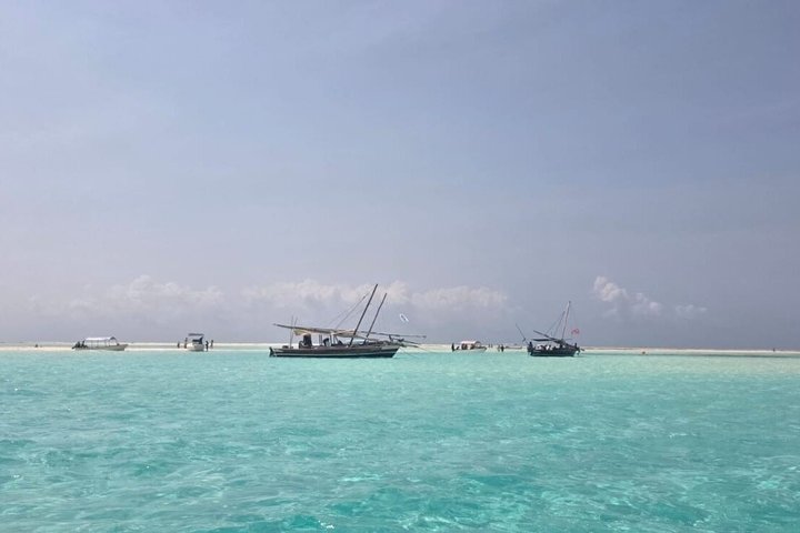 Zanzibar Mnemba Island Snorkeling and Dolphin Watching Adventure