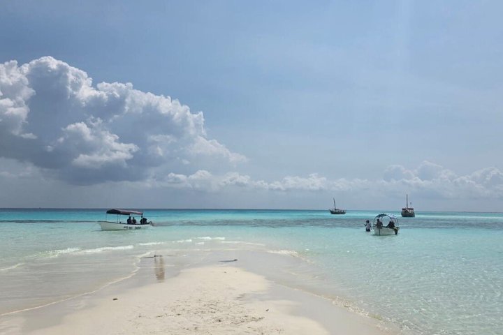 Zanzibar Mnemba Island Snorkeling and Dolphin Watching Adventure