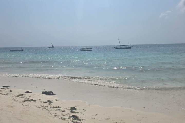 Zanzibar Mnemba Island Snorkeling and Dolphin Watching Adventure