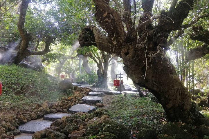 Visit Dantewada(Angel Land), Blue Temple, and Sticky Waterfall