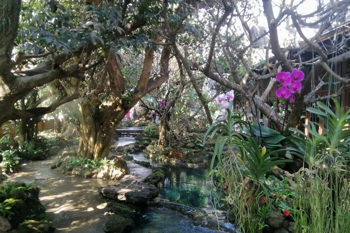 Visit Dantewada(Angel Land), Blue Temple, and Sticky Waterfall