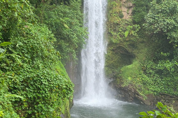 Full Day Poas Volcano, La Paz Waterfall Gardens and Coffee Plantation Experience