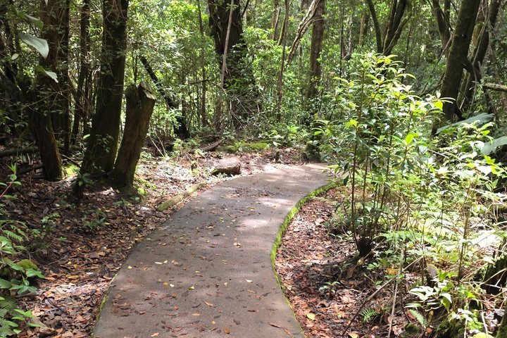 Full Day Poas Volcano, La Paz Waterfall Gardens and Coffee Plantation Experience