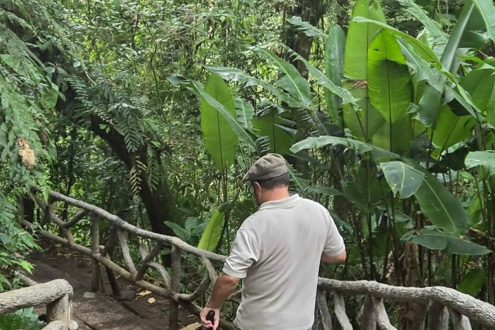 Full Day Poas Volcano, La Paz Waterfall Gardens and Coffee Plantation Experience