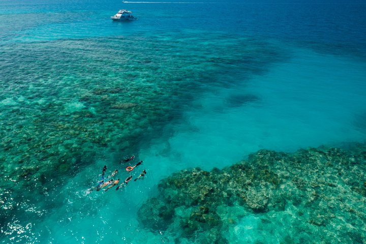 Ocean Freedom: Great Barrier Reef Stylish Snorkel, Dive Reef Tour