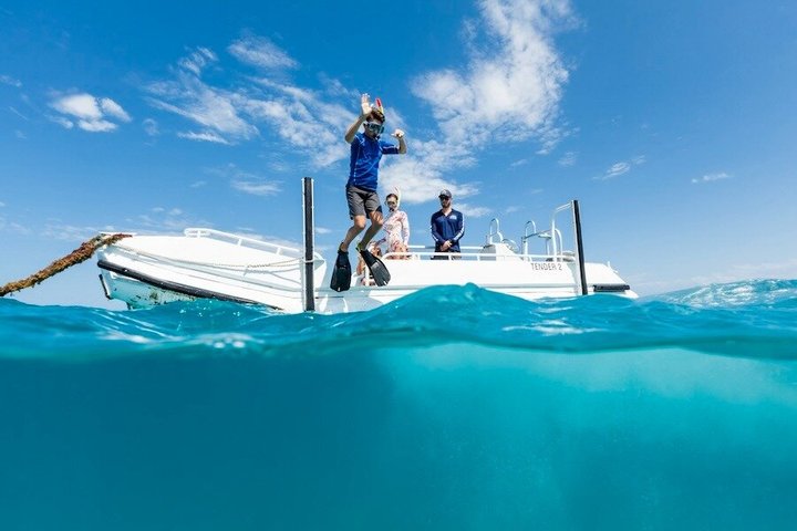 Ocean Freedom: Great Barrier Reef Stylish Snorkel, Dive Reef Tour