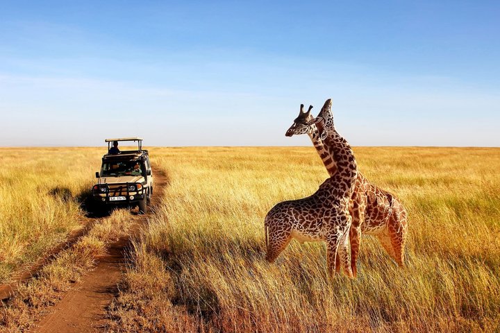 4 Day Safari from Zanzibar to Serengeti and Ngorongoro Crater