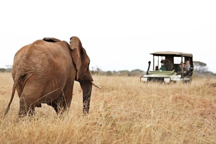 4 Day Safari from Zanzibar to Serengeti and Ngorongoro Crater
