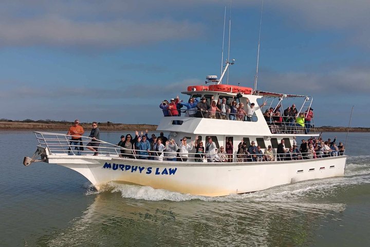 Early Bird Eco Tour and Dolphin Watch