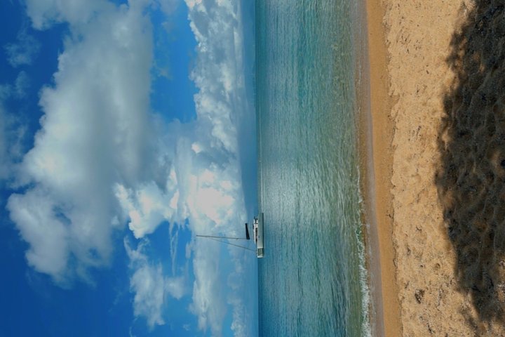 Vieques: Snorkeling Tour with Sea Turtles and Stingrays