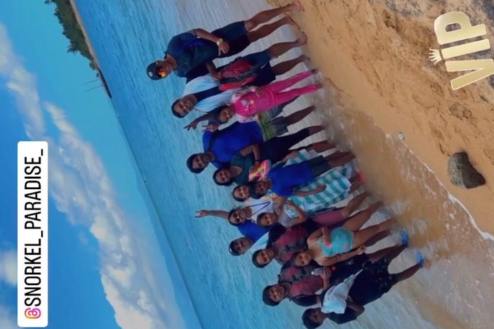 Vieques: Snorkeling Tour with Sea Turtles and Stingrays