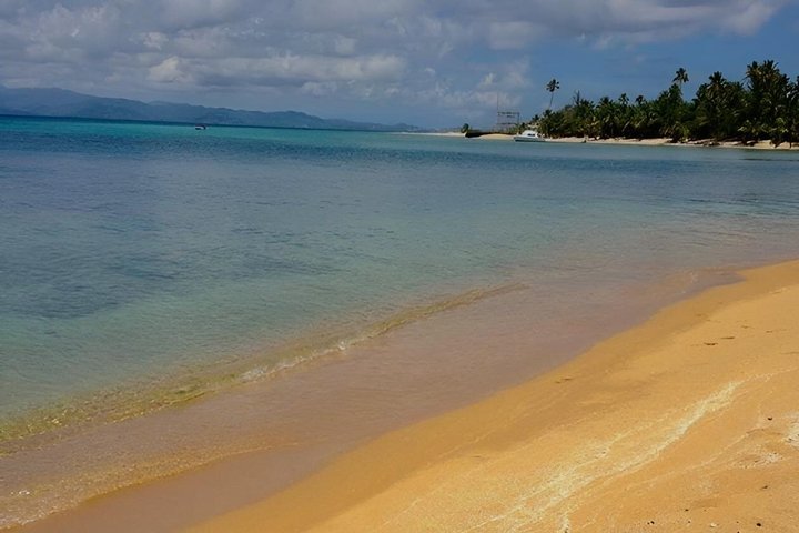 Vieques: Snorkeling Tour with Sea Turtles and Stingrays
