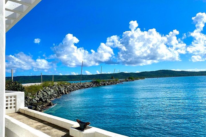 Vieques: Snorkeling Tour with Sea Turtles and Stingrays