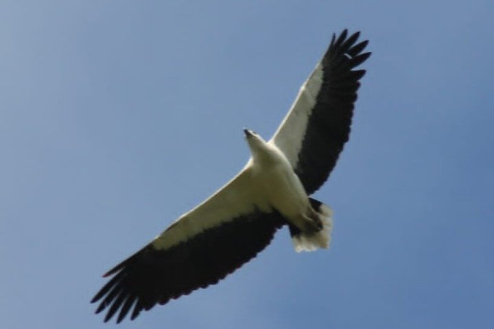 Full day / Half Day WildlifeAdventure in Yala-National-Park