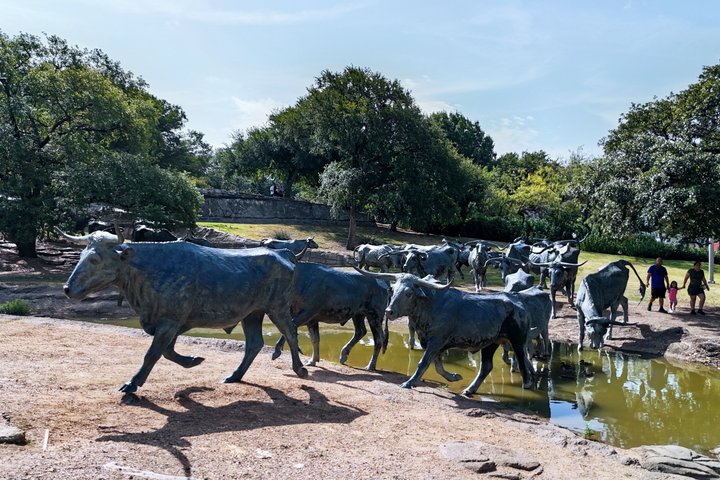 Dallas Sightseeing Tour