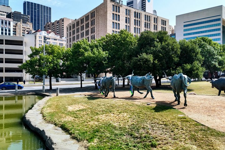 Dallas Sightseeing Tour
