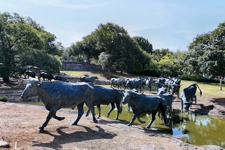 Dallas Sightseeing Tour