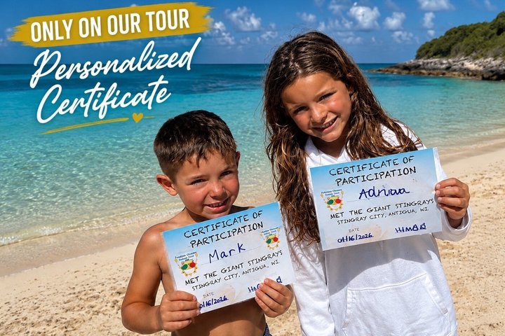 4h Antigua Must-Do: Stingray City & Long Bay Beach