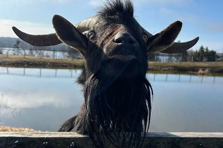 Two Rivers Wildlife Park Tour