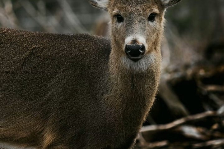 Two Rivers Wildlife Park Tour