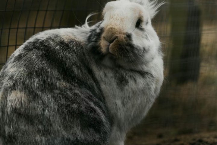 Two Rivers Wildlife Park Tour