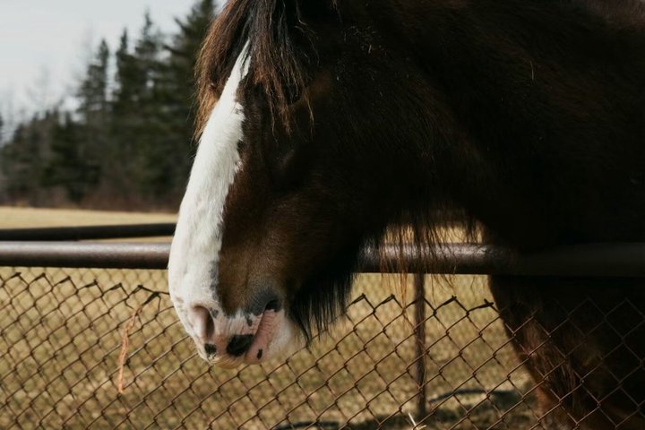 Two Rivers Wildlife Park Tour