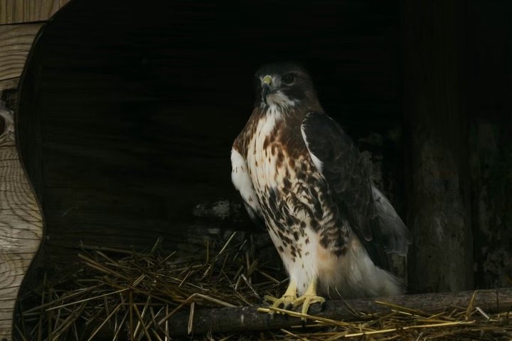 Two Rivers Wildlife Park Tour