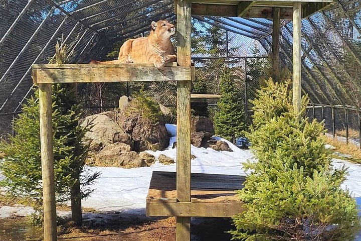 Two Rivers Wildlife Park Tour