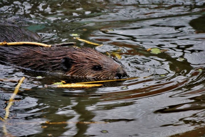 Two Rivers Wildlife Park Tour