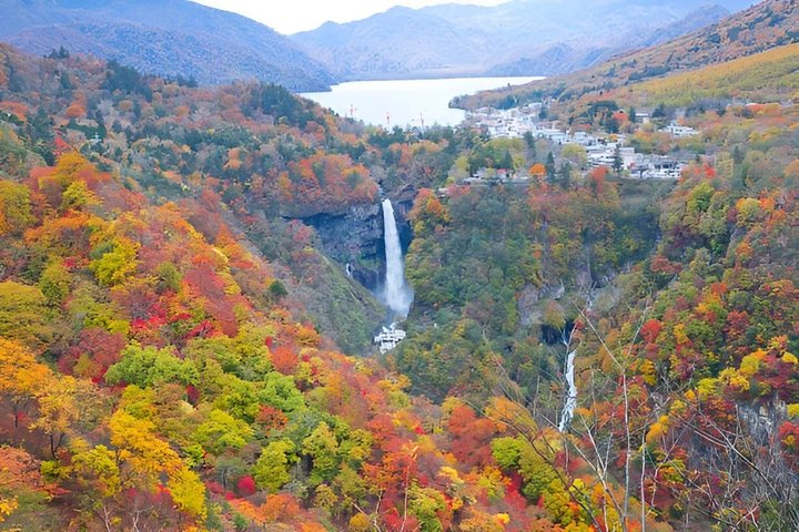 Nikko Private Tour With English Speaking Guide
