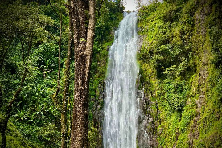Materuni Waterfalls Hiking & Coffee Farms - Tuk Tuk Experiences