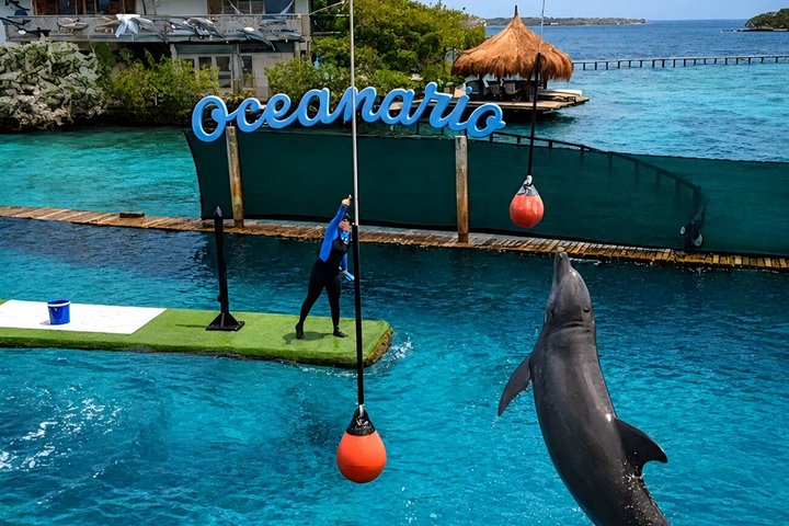 Rosario Islands and Playa Blanca Tour with Snorkeling or Aquarium