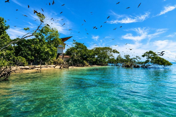 Rosario Islands and Playa Blanca Tour with Snorkeling or Aquarium