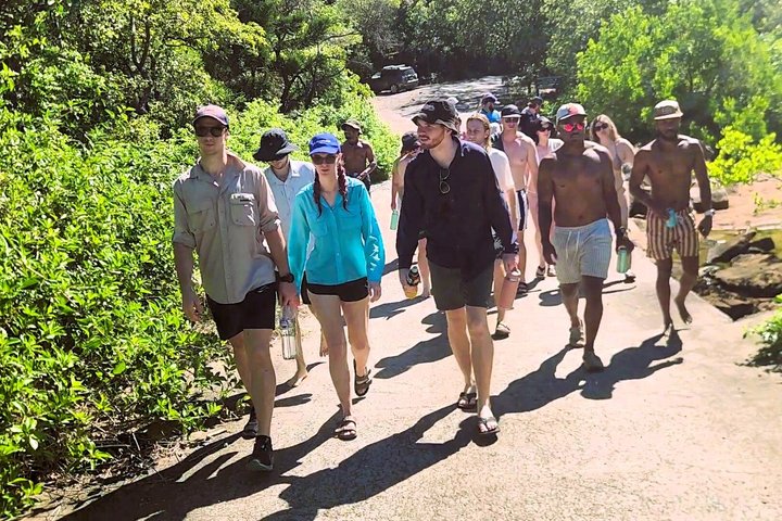Magnetic Island Adventurer Tour