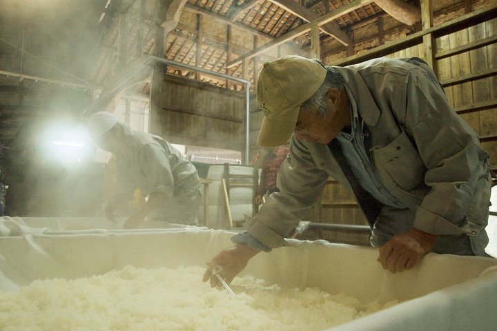 Oita Komatsu Shuzojo Sake Brewery Tour and Tasting