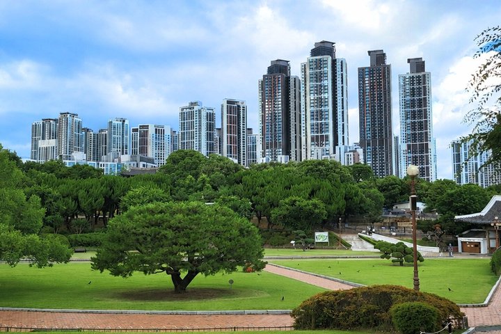 Seoul/Busan: Private BTS Daegu Hometown Pilgrimage