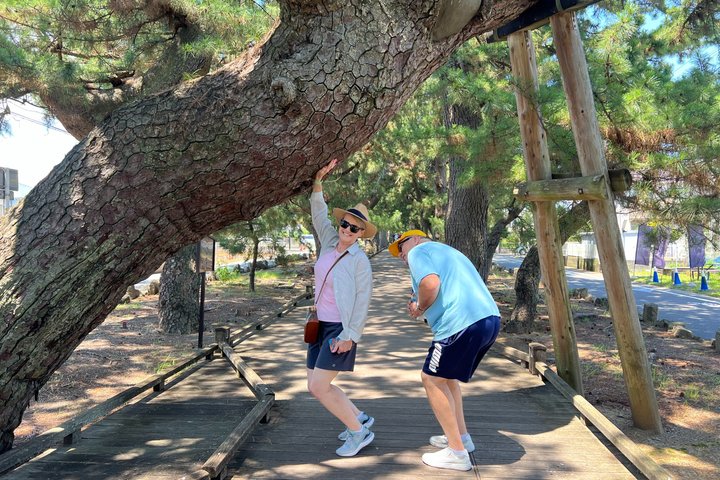 Shimizu Port Pickup: Mt. Fuji & Miho no Matsubara Tour