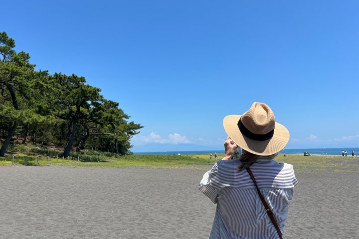 Shimizu Port Pickup: Mt. Fuji & Miho no Matsubara Tour